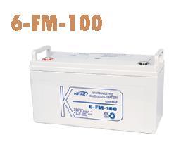 科士达蓄电池6-FM-100